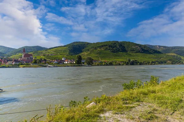 奥地利Durnstein附近的Wachau山谷 有葡萄园和多瑙河的风景 — 图库照片