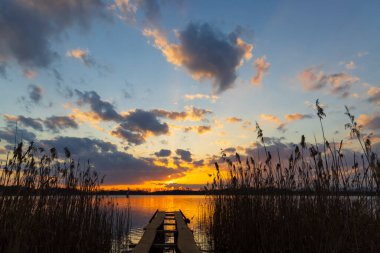 Rezabinec göleti, Güney Bohemya, Çek Cumhuriyeti