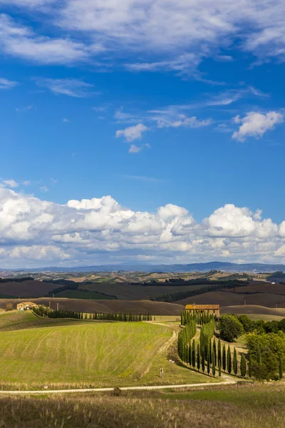 ヴァル ダルシア イタリアの典型的なトスカーナ州の風景 — ストック写真