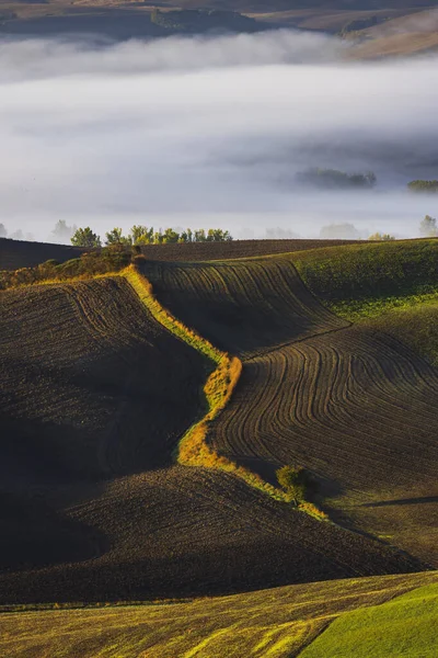 Typowy Toskański Krajobraz Jesienny Val Orcia Toskania Włochy — Zdjęcie stockowe