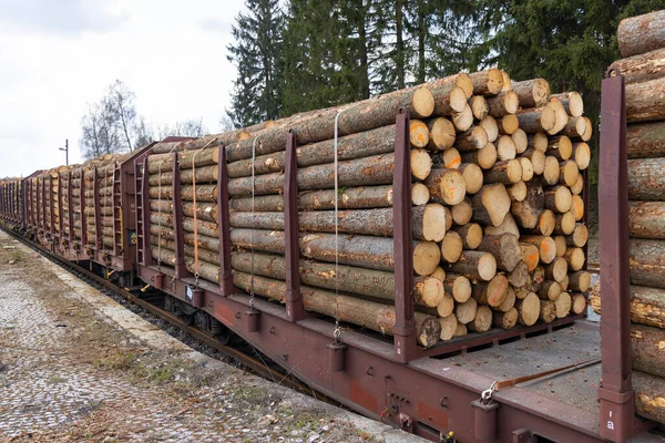 Transport Drewna Wagonami Kolejowymi — Zdjęcie stockowe