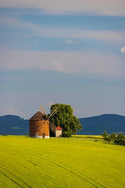 捷克共和国摩拉维亚南部Chvalkovice的风车 — 图库照片