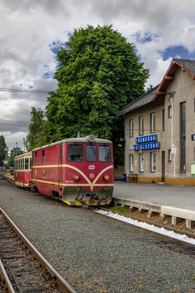 Vía Estrecha Ferrocarril Tremesna Slezsku Osoblaha Con Años Edad Locomotora —  Fotos de Stock