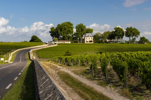 Jellemző Szőlőültetvények Chateau Pichon Longueville Comtess Lalande Közelében Bordeaux Aquitaine — Stock Fotó