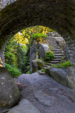 Doğa koruma alanı Broumovske steny, doğu Bohemya, Çek Cumhuriyeti