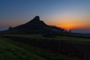 Üzüm bağı olan Solutre Kayası, Burgundy, Solutre-Pouilly, Fransa