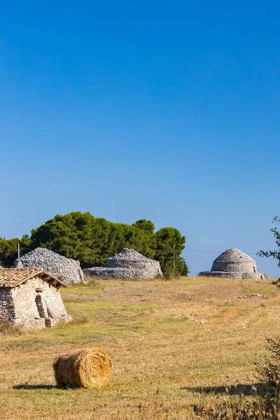 Trulli Typische Huizen Buurt Van Castel Del Monte Regio Apulië — Stockfoto