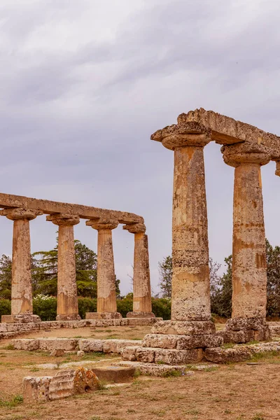 Temple Hera Century Archaeological Site Bernalda Italy — Stock Photo, Image