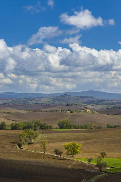 Typiskt Toskanskt Landskap Nära Siena Toscana Italien — Stockfoto