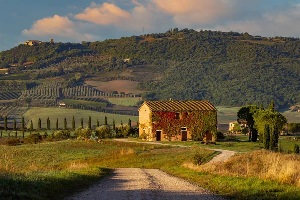 Утренний Тосканский Пейзаж Валь Орча Тоскана Италия — стоковое фото