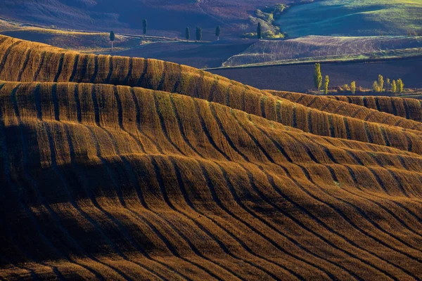 Typisk Toskansk Morgon Höstlandskap Val Orcia Toscana Italien — Stockfoto