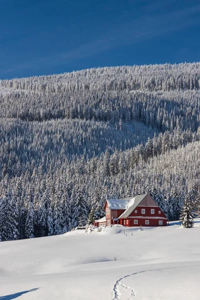 Paisagem Inverno Torno Horni Mala Upa Giant Mountains Krkonose Northern — Fotografia de Stock