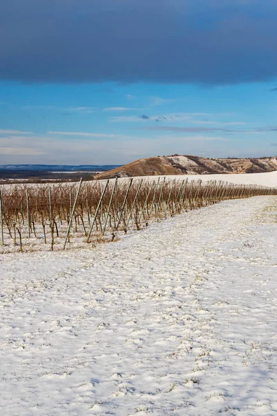 Winter Landscape Popice Southern Moravia Czech Republic — Stock Photo, Image