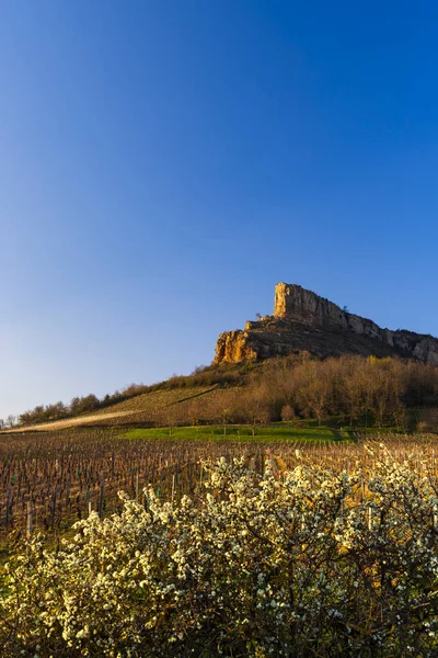 Rock Solutre Met Wijngaarden Bourgogne Solutre Pouilly Frankrijk — Stockfoto