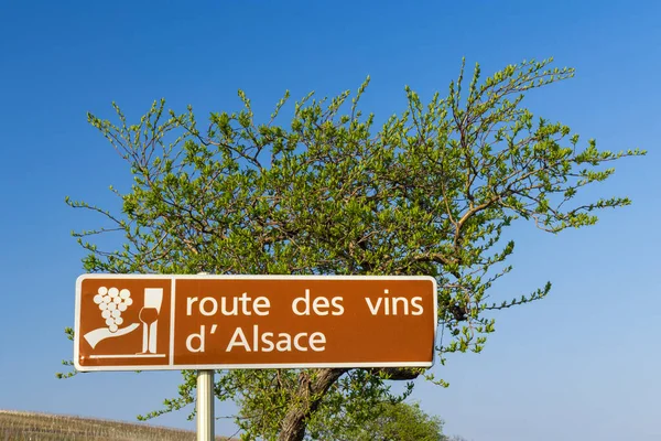 Wine Road Colmar Alsace France — Stockfoto