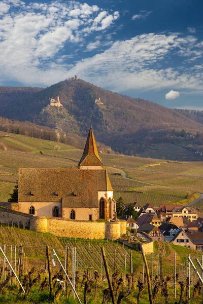 Pueblo Hunawihr Con Ruinas Castillo Cerca Ribeauville Alsacia Francia — Foto de Stock