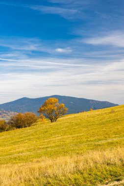 Slovakya, Zilina yakınlarında NP Mala Fatra