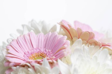 Beyaz arka planda çiçeklerle dolu bir hayat