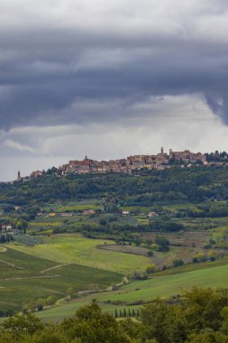 Montalcino, Toskana, İtalya yakınlarındaki üzüm bağlarıyla tipik Toskana manzarası