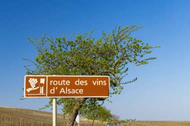 Colmar yakınlarındaki şarap yolu, Alsace, Fransa