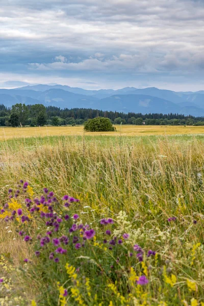 Nizke Tatry (Low Tatras), Slovakya