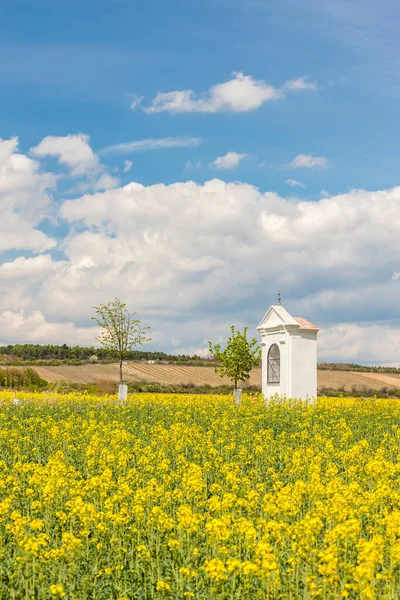 Lentelandschap Nabij Konice Bij Znojmo Tsjechië — Stockfoto