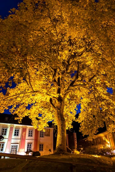 Avusturya, Yukarı Avusturya 'da Sonbahar Salonu