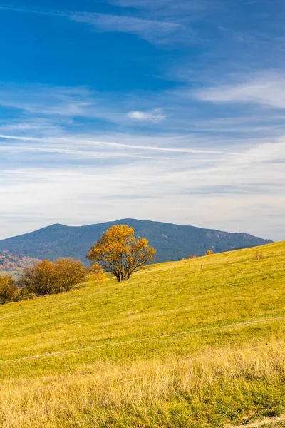 Slovakya, Zilina yakınlarında NP Mala Fatra