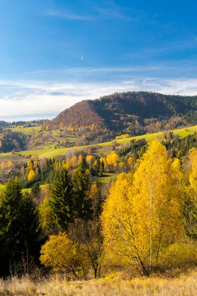 Осенний Пейзаж Горах Мала Фатра Словакия — стоковое фото