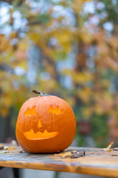 Halloween Pumpa Höst Stilleben — Stockfoto