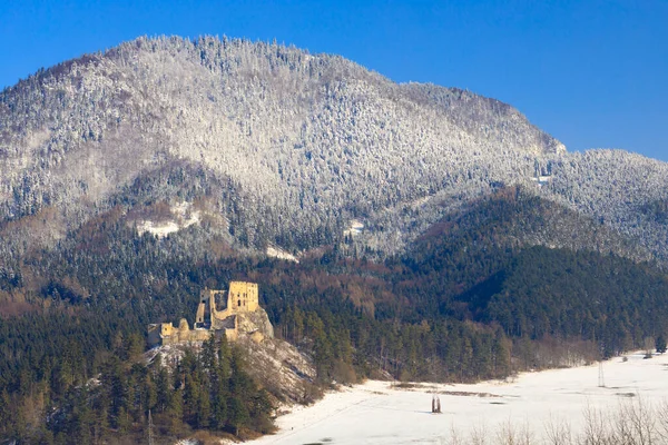 Ruines Likava Près Ruzomberok Dans Les Montagnes Chocske Slovaquie — Photo