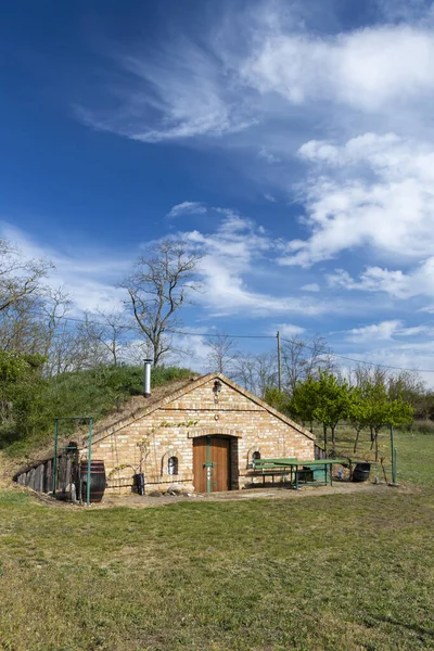 Cantina Regione Palava Moravia Meridionale Repubblica Ceca — Foto Stock