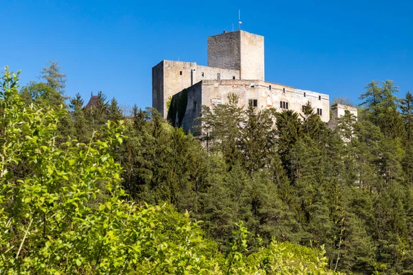 Castello Landstejn Nella Repubblica Ceca — Foto Stock