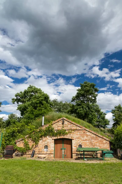 Bodegas Viñedos Región Palava Sur Moravia República Checa — Foto de Stock