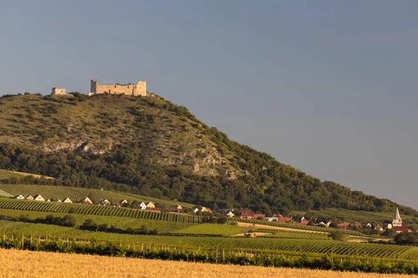 Vineyards Palava Southern Moravia Czech Republic — Stock Photo, Image