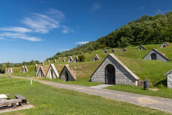 Gombos Hegyi Pincesor Hercegkut Unesco Site Great Plain North Hungary — Stock Photo, Image