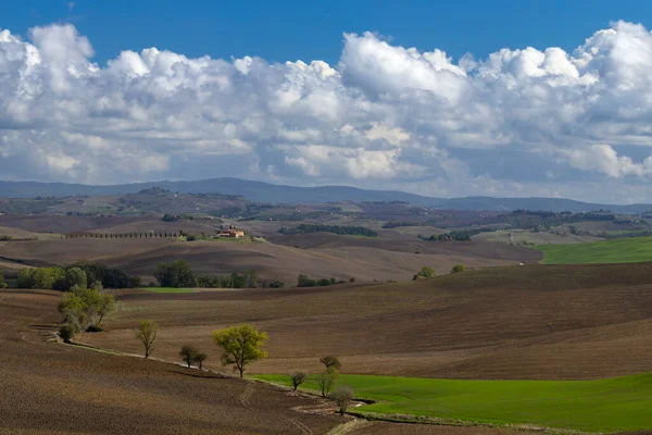 Typisch Toscaans Landschap Vlakbij Siena Toscane Italië — Stockfoto