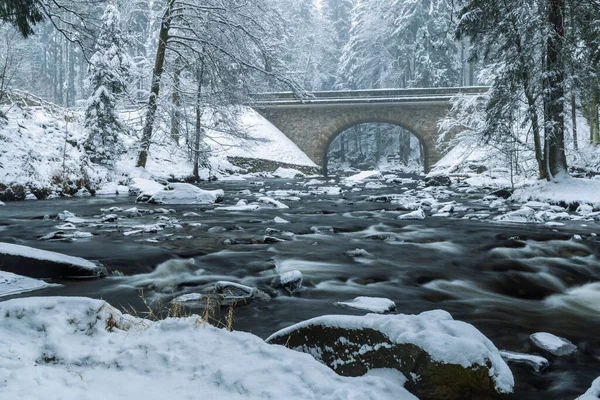 Zemska Brana 'daki Divoka Orlice Nehri, Orlicke Dağları, Doğu Bohemya, Çek Cumhuriyeti