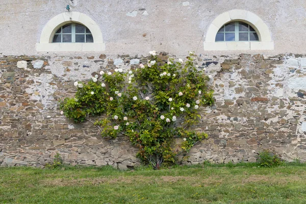 Serrant Slott Chateau Serrant Saint Georges Sur Loire Departementet Maine — Stockfoto