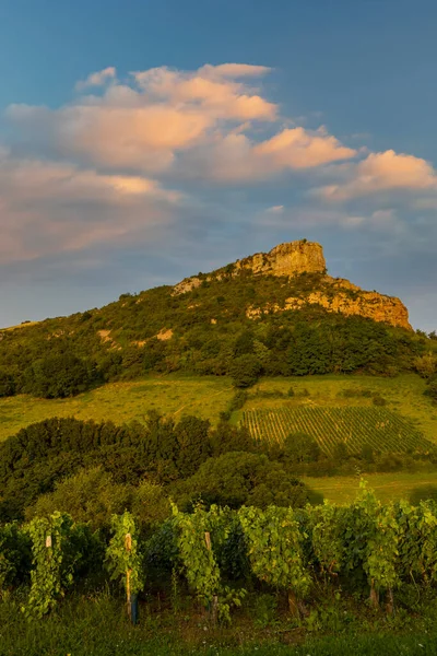 Roca Solutre Con Viñedos Borgoña Solutre Pouilly Francia —  Fotos de Stock