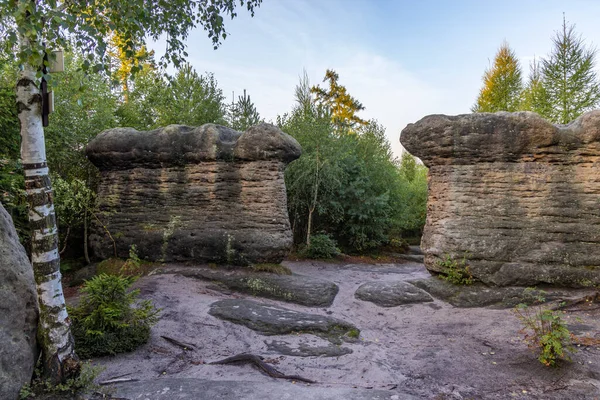 Çek Cumhuriyeti 'nin doğusunda Broumovske steny, doğu Bohemya' da bulunan taş mantarlar