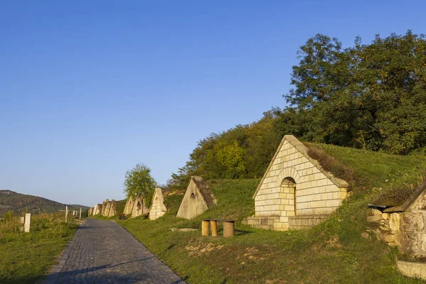 Jesienny Gombos Hegyi Pincesor Hercegkucie Miejsce Unesco Wielka Równina Węgry — Zdjęcie stockowe