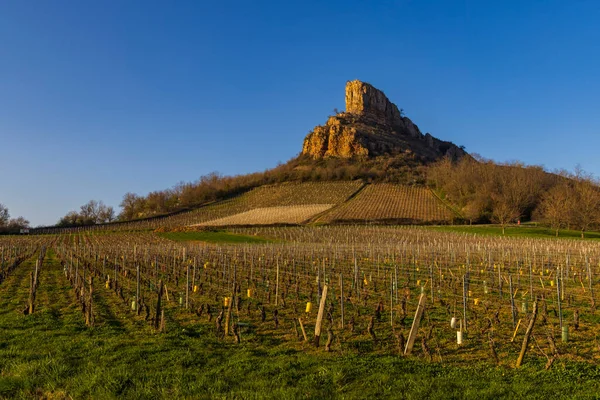 Roca Solutre Con Viñedos Borgoña Solutre Pouilly Francia —  Fotos de Stock