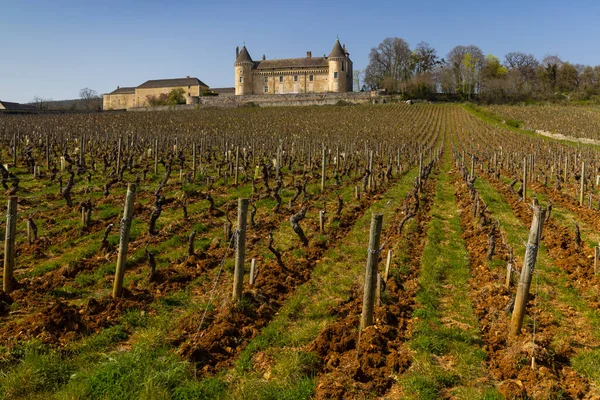 Kasteel Château Rully Departement Saone Loire Bourgondië Frankrijk — Stockfoto