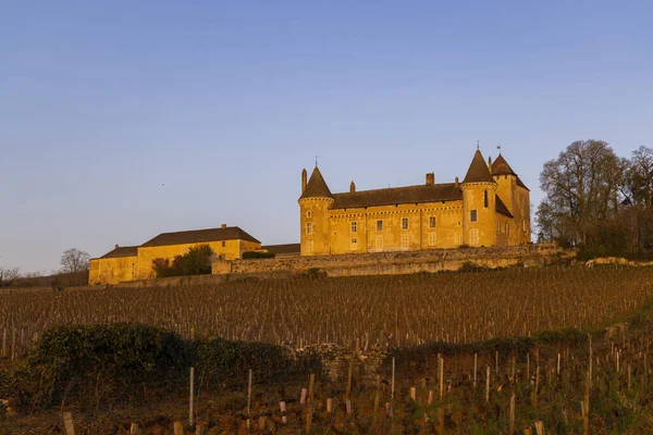 Chateau Rully Slott Saone Loire Departement Bourgogne Frankrike — Stockfoto