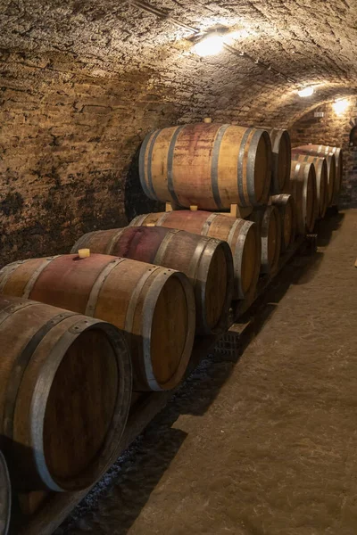 Wijnkelder Met Houten Vaten Hajos Zuid Transdanubie Hongarije — Stockfoto