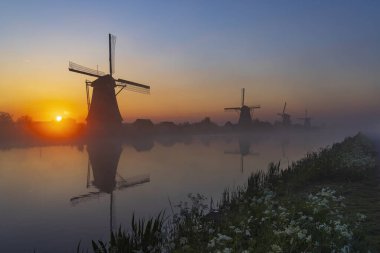 Hollanda 'nın Kinderdijk şehrinde güneş doğmadan hemen önce renkli gökyüzü olan geleneksel Hollanda yel değirmenleri