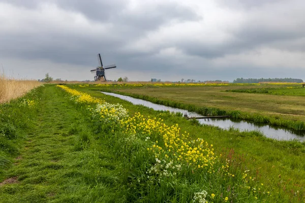 Windmill Broekmolen Molenlanden Nieuwpoort Netherlands — 스톡 사진
