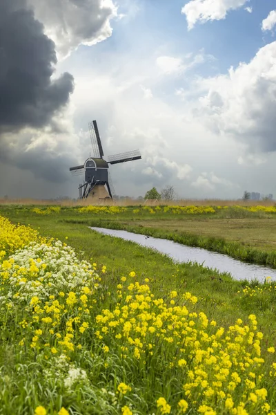 Windmill Broekmolen Molenlanden Nieuwpoort Нідерланди — стокове фото