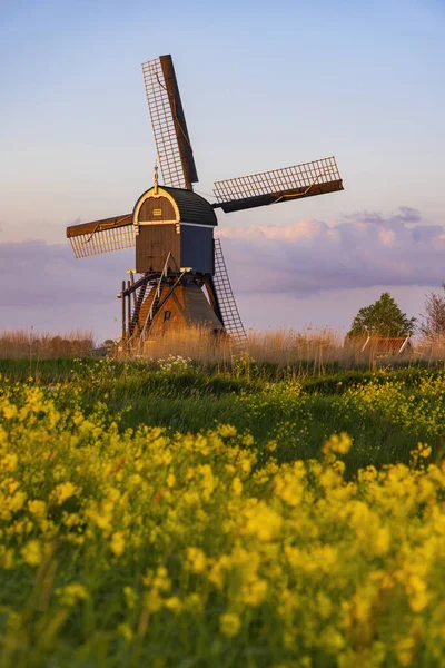 Windmill Broekmolen Molenlanden Nieuwpoort Netherlands — Foto de Stock